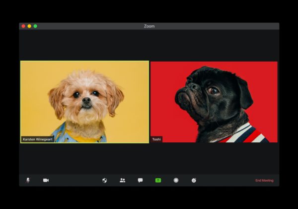 Agile Team Space Puppies