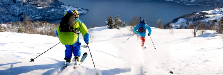 Cross Country Skiing Image